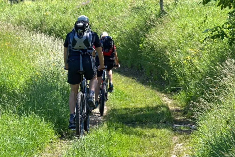 Les effets de la pollution sur la santé et comment s’en protéger